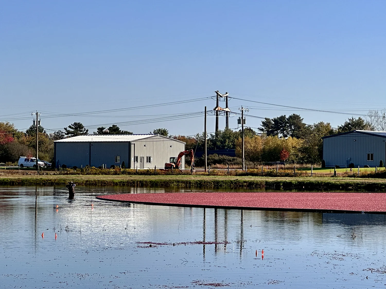 family-friendly fall activities Cape Cod cranberry bog